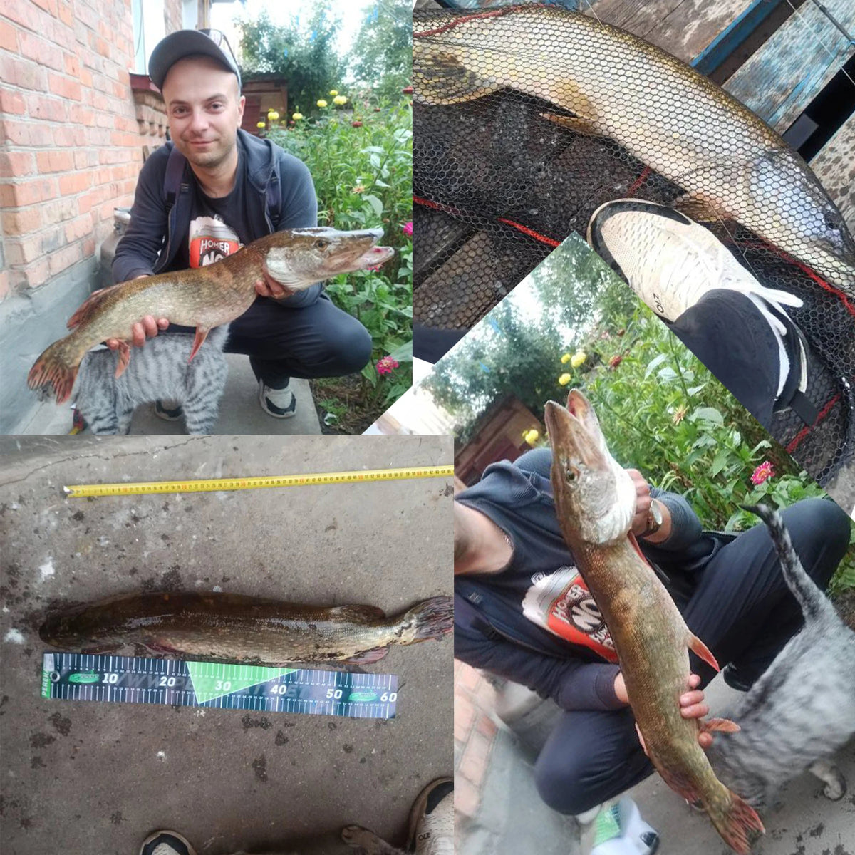 Biutifu T800 Carbon Surf Rod For Elite Shore Casting