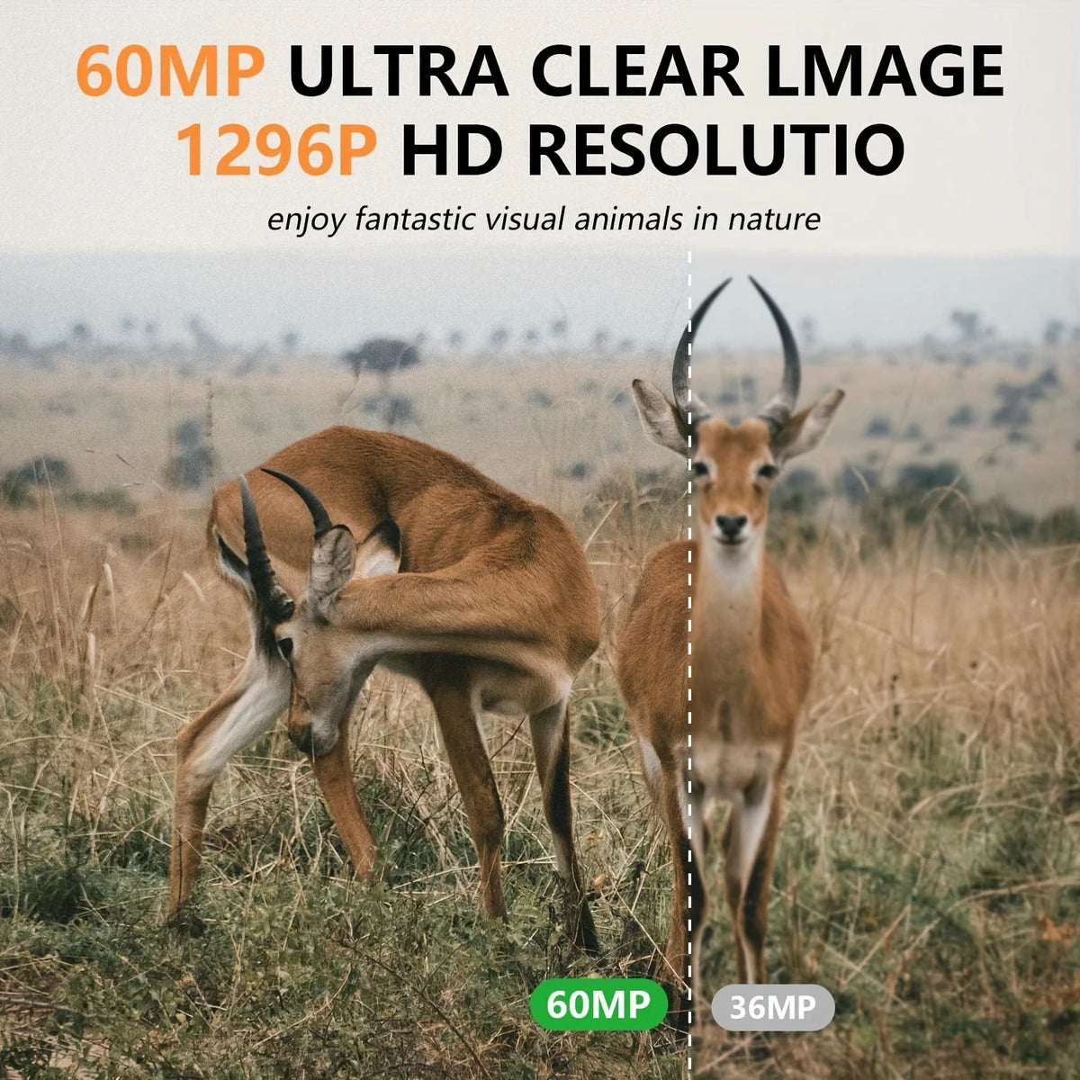 Fargarloo 60MP Wifi Trail Camera Night Vision Wildlife Monitor